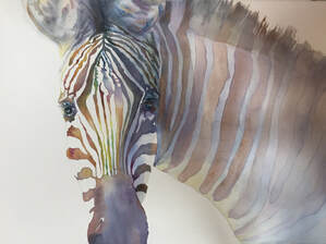 contemporary zebra watercolor beyond wild by karen lindeman fine art studio